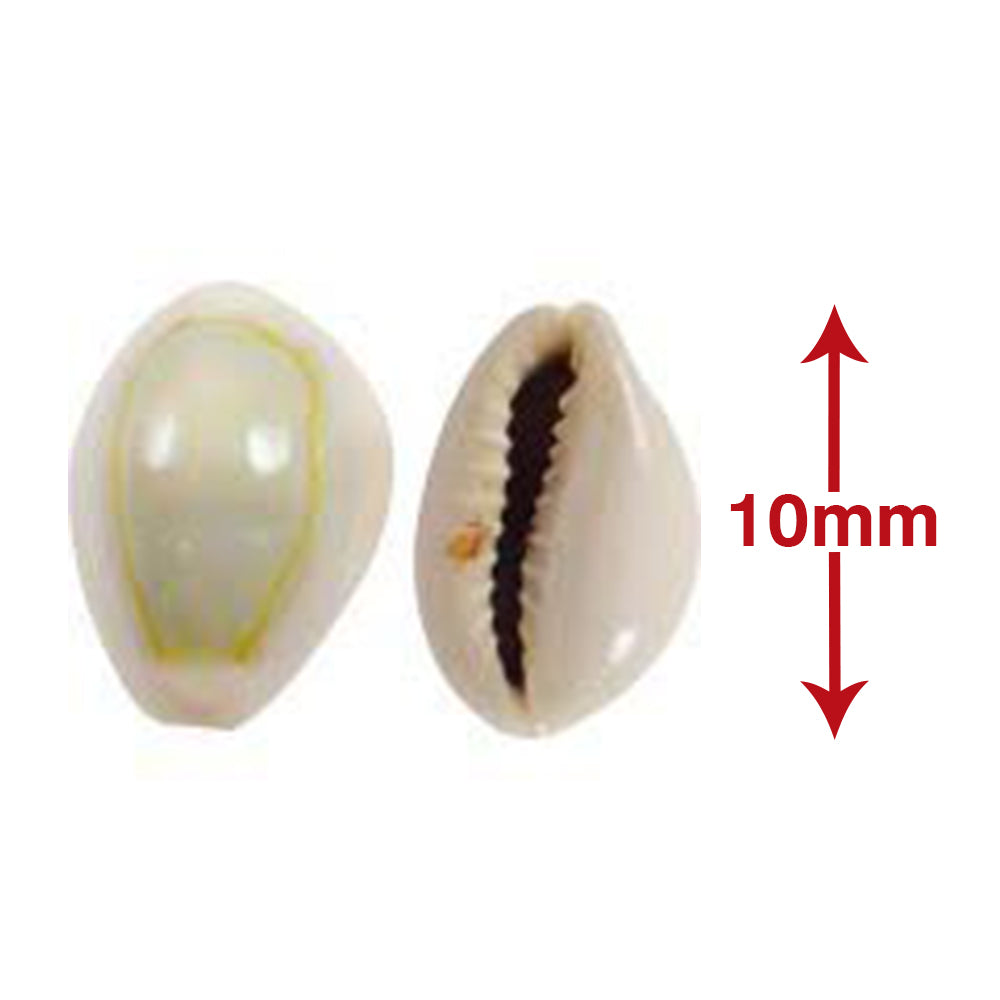 Puja Kaudi | Kauri | Cowri Sea Shell (Natural Off White  | 10mm)